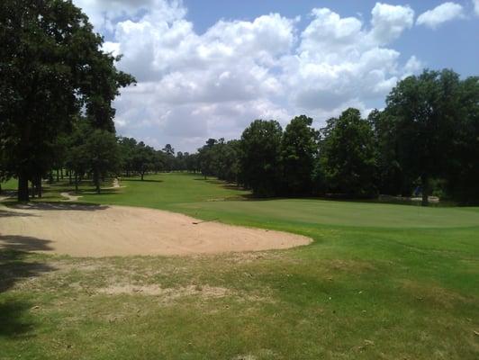 Behind 18 green, looking back down the fairway