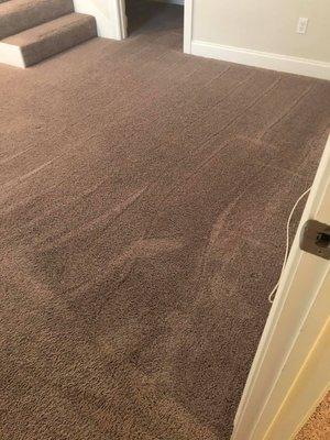 Carpet Cleaning in John's Creek, GA