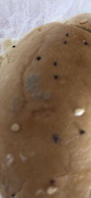 Mold in my bagel!!!!!