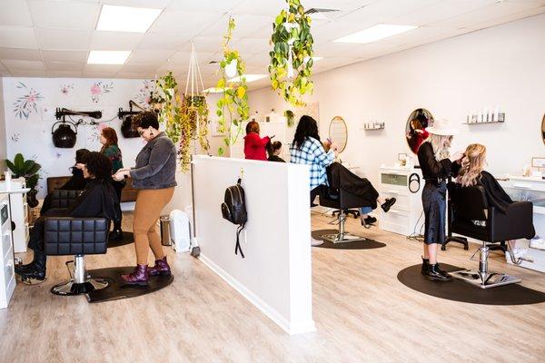 Full salon at Salon Lola