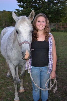 Awesome lesson horses