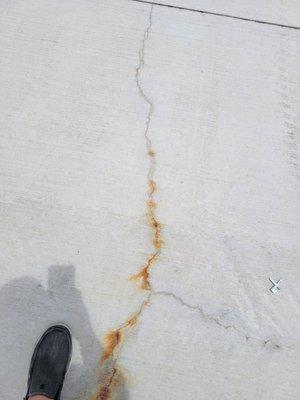 More cracked driveway.