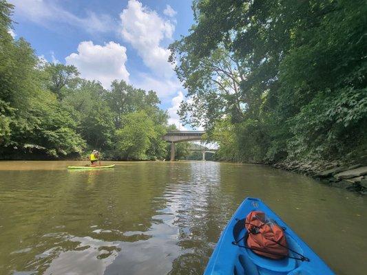 SUP board and kayaking on Kentucky  River.