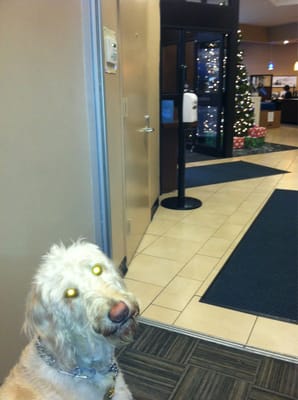 In front of the ATMs (looking in to the teller area)