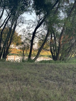 Neighboring private pond