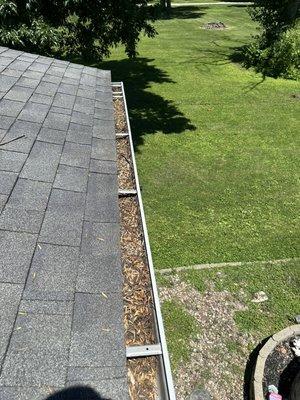 Before gutter cleaning