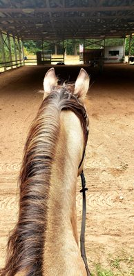 North Harbor Equestrian Center