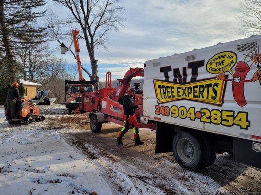 TNT Tree Experts