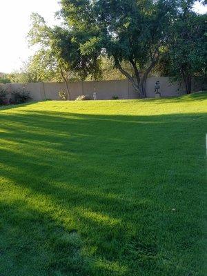 A Beautiful Winter Lawn Courtesy of Handled Irrigation