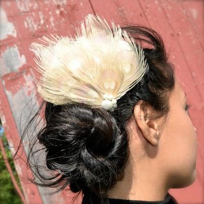 gorgeous ivory peacock feather fan.