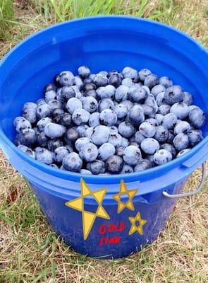 The blue buckets are 6 pounds. $2 per pound