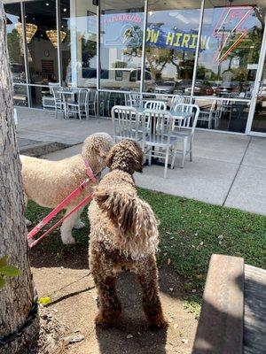 Outside tables if you want to bring your fur babies.