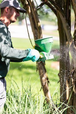 Professional Tree & Shrub Care services.