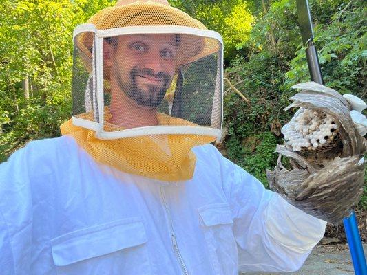 Using a Bee suit to remove a hornets nest