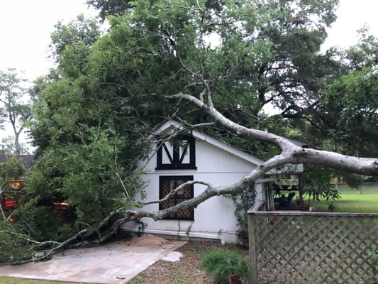 Storm damage