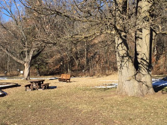 Wooded areas with picnic tables & benches