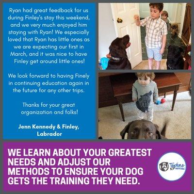 Our clients love us for great reasons! We produce real life results for your dog training and behavior needs. www.toplinek9obedience.com