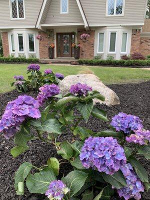 Enhance your landscape!