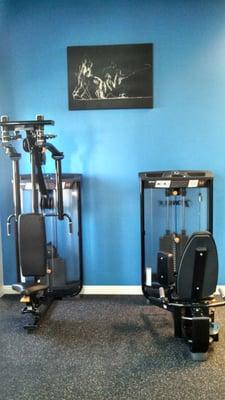 Pec Fly/Rear Delt and Hip Abduction/Adduction Machines