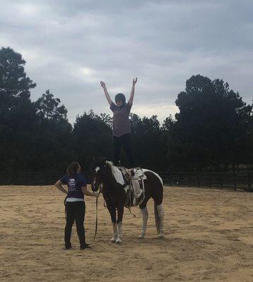 Keystone Equine Entertainment & Training