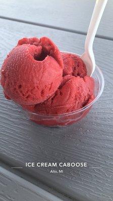 Raspberry Sorbet