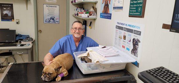 Salt Plains Veterinary Services