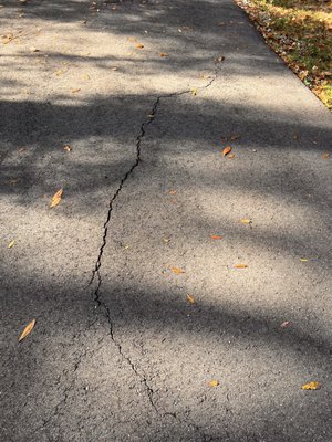 Major cracks because they did not remove tree roots as agreed upon