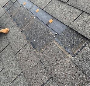 Shingle Replacement