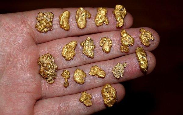 We pay top cash for gold nuggets! We will buy your gold nuggets and pay you cash on the spot. Visit Wasilla Gold Buyers today.