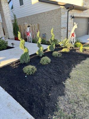 New Plant and mulch installation