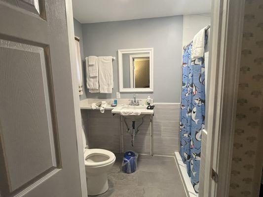 Newer bathroom