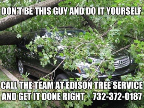 True story of a guy that cut down his own tree and it fell on his neighbor's car.