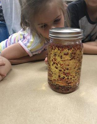 Science Week 2019 Homemade Lava Lamp