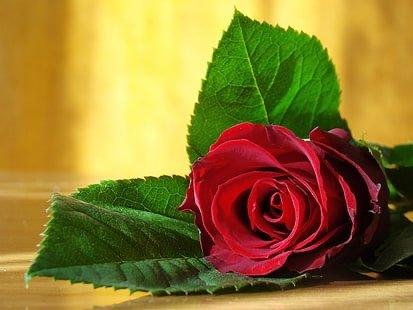 A rose for you...