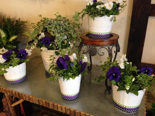 Centerpieces For Baby Shower. Pansies and Ivy.