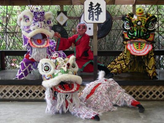 Lion Dance