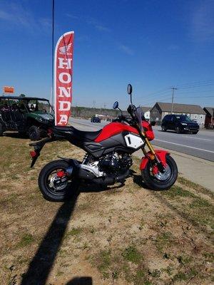 Honda Grom