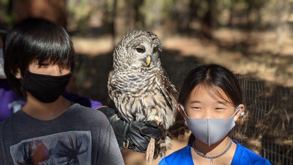 Badger Run Wildlife Rehab