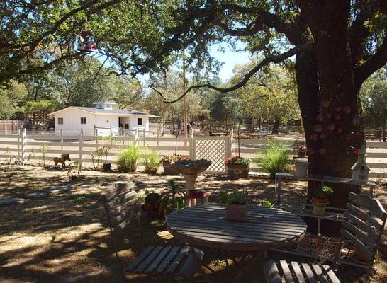 Small Glen Ellen Farm, sold for $1,500,000. Happy Seller.