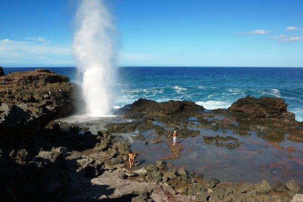 Blow Hole