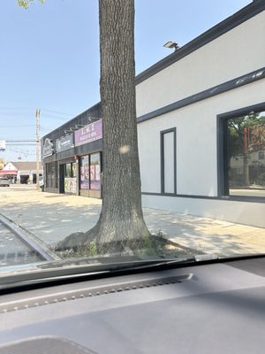 A dot on the windshield