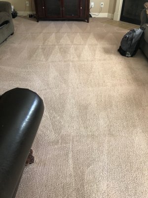 G-Force Carpet Cleaning