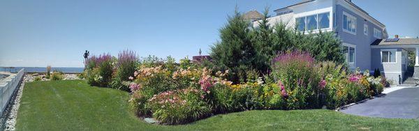 Panoramic views of lawn flower bed.