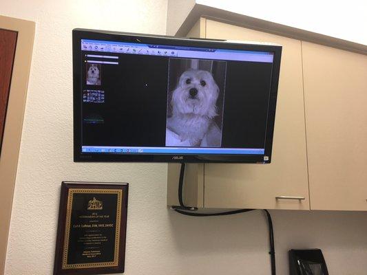 my pup and his teeth on the computer screen