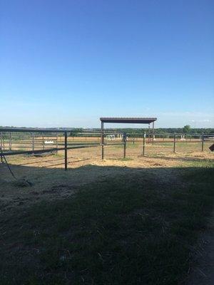 Hanging out at the barn!