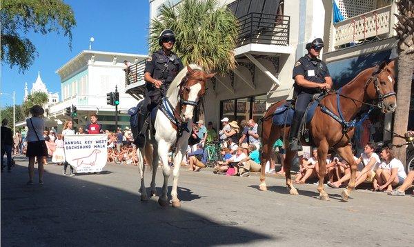 Now if the Police rode wienerdogs that would really. be cool!