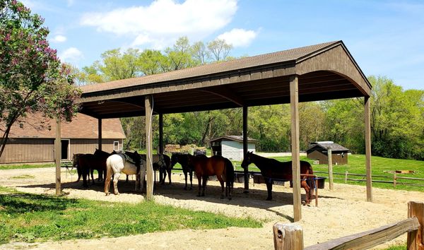 New owners at the stable! They just reopened and are ready for business!  They are very nice and professional.