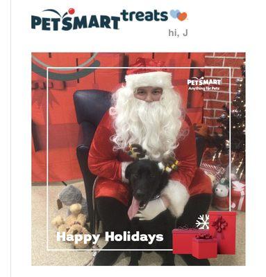 Happy Holidays  From our girl Bella! #ilovemydog #xmas #cutedog #santa @petsmart