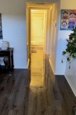 Water leaking in the dining room on July 9, 2022.