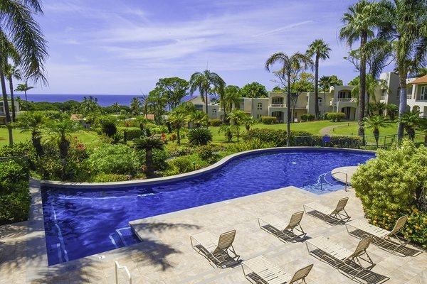 Cute fish shaped pool at the Palms at Wailea